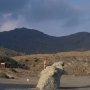 Cabo_de_Gata10