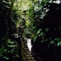 Treppe am Wasserfall, Mindo, Ecuador
