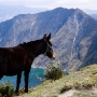 Esel am Kraterrand, Laguna de Quilotoa