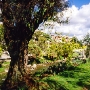 Am Ufer des Tomebamba, Cuenca