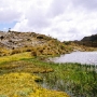 Nationalpark Cajas 2