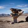 Arbol_de_Piedra