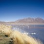 Laguna_Canapa_2
