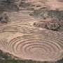 Moray1