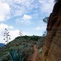 Im Anaga Gebirge (4)