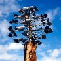 Anemometer