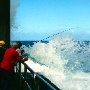 Angler_Puerto