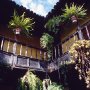 Bodega_La_Guancha