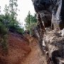 Camino_a_Candelaria_Orotava