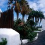 Ermita_San_Telmo_Puerto
