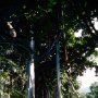 Jardin_Botanico_Puerto_2