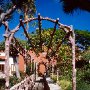 Liceo_Taoro_La_Orotava_2
