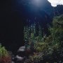 Masca_11