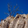 Teno_Gebirge_14