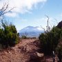 Teno_Gebirge_7