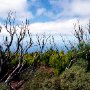 Teno_Gebirge_8