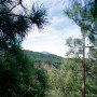 Wanderung_Orotava_Tal_2